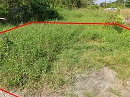  Land for sale in Ban Chang, Phanat Nikhom, Ban Chang