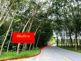  Land for sale in Nong Taphan, Ban Khai, Nong Taphan