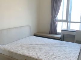 1 Bedroom Apartment for rent at Life Ratchadapisek, Huai Khwang, Huai Khwang