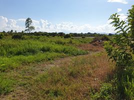  Land for sale in Khun Khong, Hang Dong, Khun Khong