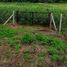  Land for sale in Telangana, Hyderabad, Hyderabad, Telangana