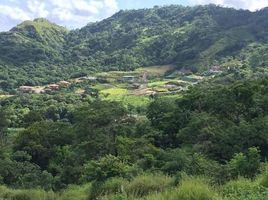 3 Schlafzimmer Haus zu verkaufen in Santa Cruz, Guanacaste, Santa Cruz