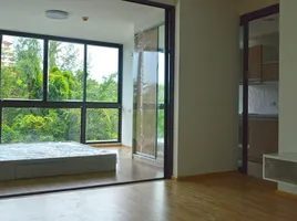 1 Schlafzimmer Wohnung zu verkaufen im Connext, Talat Nuea, Phuket Town, Phuket