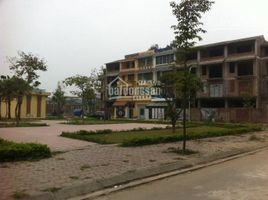 Studio Villa zu verkaufen in Thanh Tri, Hanoi, Tan Trieu