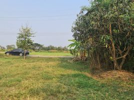  Land for sale in Sam Ruean, Mueang Ratchaburi, Sam Ruean
