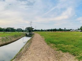  Grundstück zu verkaufen in Mueang Chiang Rai, Chiang Rai, San Sai