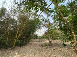  Land for sale in Lamphun, Mueang Chi, Mueang Lamphun, Lamphun