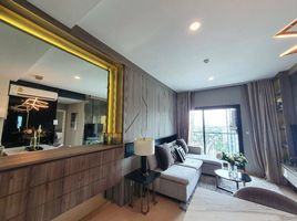 2 Bedroom Condo for rent at The Tree Sukhumvit 71-Ekamai, Suan Luang, Suan Luang