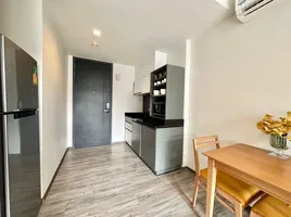 1 Bedroom Condo for rent at The Deck Patong, Patong
