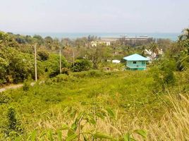ขายที่ดิน ใน เมืองภูเก็ต ภูเก็ต, วิชิต, เมืองภูเก็ต, ภูเก็ต
