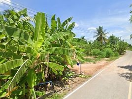  Grundstück zu verkaufen in Cha-Am, Phetchaburi, Khao Yai