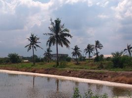  Grundstück zu verkaufen in Bang Len, Nakhon Pathom, Bang Pla, Bang Len