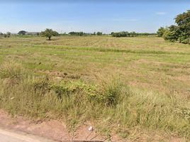  Grundstück zu verkaufen in Sung Noen, Nakhon Ratchasima, Na Klang, Sung Noen