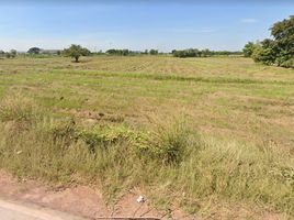  Land for sale in Sung Noen, Nakhon Ratchasima, Na Klang, Sung Noen