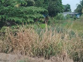  Grundstück zu verkaufen in Lat Lum Kaeo, Pathum Thani, Lat Lum Kaeo, Lat Lum Kaeo