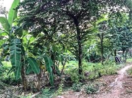  Land for sale in Bang Waek, Phasi Charoen, Bang Waek