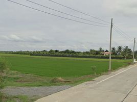  Grundstück zu verkaufen in Sai Noi, Nonthaburi, Sai Yai, Sai Noi, Nonthaburi, Thailand