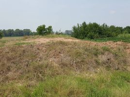  Land for sale in Den Yai, Hankha, Den Yai