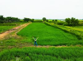  Grundstück zu verkaufen in Ongkharak, Nakhon Nayok, Phra Achan, Ongkharak, Nakhon Nayok