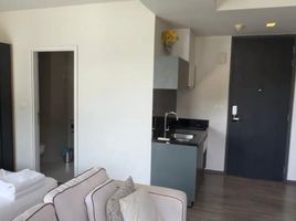 Studio Condo for sale at The Deck Patong, Patong, Kathu