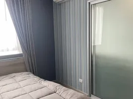 1 Schlafzimmer Wohnung zu vermieten im The Parkland Phetkasem 56, Bang Wa, Phasi Charoen, Bangkok, Thailand
