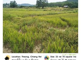  Land for sale in Chiang Rai, Ngio, Thoeng, Chiang Rai