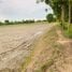  Land for sale in Nong Chang Uthai Thani, Nong Chang, Nong Chang