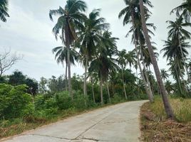  Land for sale in Na Hu Kwang, Thap Sakae, Na Hu Kwang