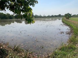  Grundstück zu verkaufen in Bang Pa-In, Phra Nakhon Si Ayutthaya, Chiang Rak Noi