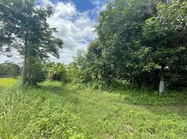  Land for sale in Phu Po, Mueang Kalasin, Phu Po