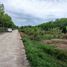 ขายที่ดิน ใน หาดใหญ่ สงขลา, พะตง, หาดใหญ่