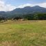  Land for sale in Upala, Alajuela, Upala