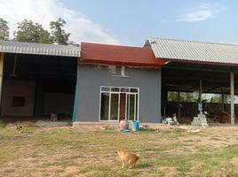 2 Bedroom Warehouse for sale in Non Daeng, Chaiyaphum, Non Daeng, Ban Khwao, Chaiyaphum