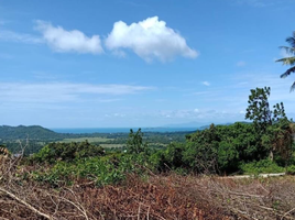  Land for sale in Na Muang Waterfalls, Na Mueang, Na Mueang