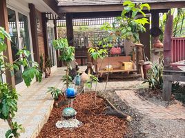 1 Bedroom House for sale in Chiang Mai International Airport, Suthep, Pa Daet