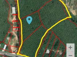  Land for sale in Pa Khlok, Thalang, Pa Khlok