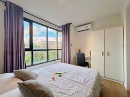 1 Schlafzimmer Appartement zu vermieten im Centrio, Wichit, Phuket Town, Phuket