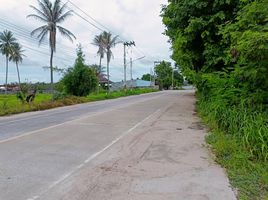  Grundstück zu verkaufen in Si Racha, Chon Buri, Bueng