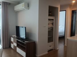 2 Bedroom Condo for rent at Centrio, Wichit, Phuket Town