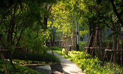 Photo 2 of the Walking / Running Track at Whizdom Connect Sukhumvit