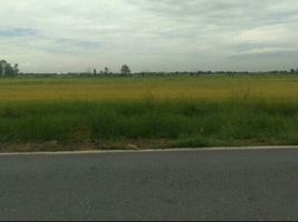  Land for sale in Bueng Thong Lang, Lam Luk Ka, Bueng Thong Lang