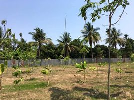  Land for sale in Don Yang, Mueang Phetchaburi, Don Yang