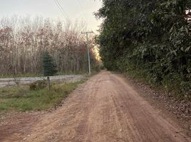  Grundstück zu verkaufen in Tha Uthen, Nakhon Phanom, Tha Uthen, Tha Uthen