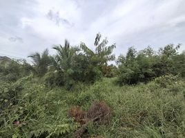  Land for sale in Prachuap Khiri Khan, Hua Hin City, Hua Hin, Prachuap Khiri Khan