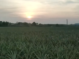  Land for sale in Nong Phai Kaeo, Pattaya, Nong Phai Kaeo, Ban Bueng