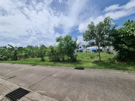  Grundstück zu verkaufen in Choeng Thale, Phuket, Choeng Thale