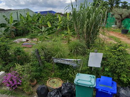 ขายที่ดิน ใน เมืองภูเก็ต ภูเก็ต, ตลาดเหนือ, เมืองภูเก็ต