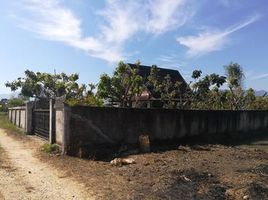  Land for sale in San Pong, Mae Rim, San Pong