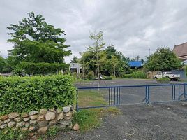  Land for sale in Chiang Mai, Khi Lek, Mae Rim, Chiang Mai
