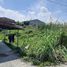  Land for sale in Nakhon Chai Si Nakhon Pathom, Tha Tamnak, Nakhon Chai Si, Nakhon Pathom